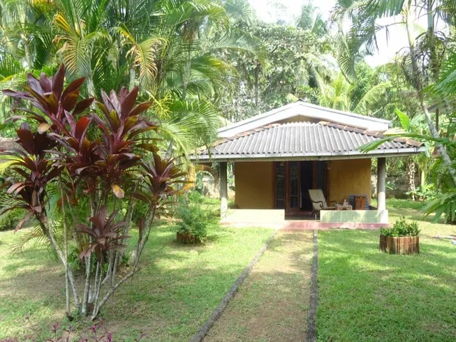7 Days of Excursion and Yoga Retreat in Bentota2.webp