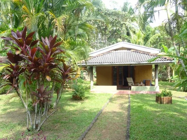 7 Days of Excursion and Yoga Retreat in Bentota6.webp