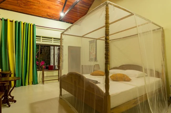 8 Day Ayurveda Detox, and Yoga Retreat in Dickwella, Southern Province13.webp