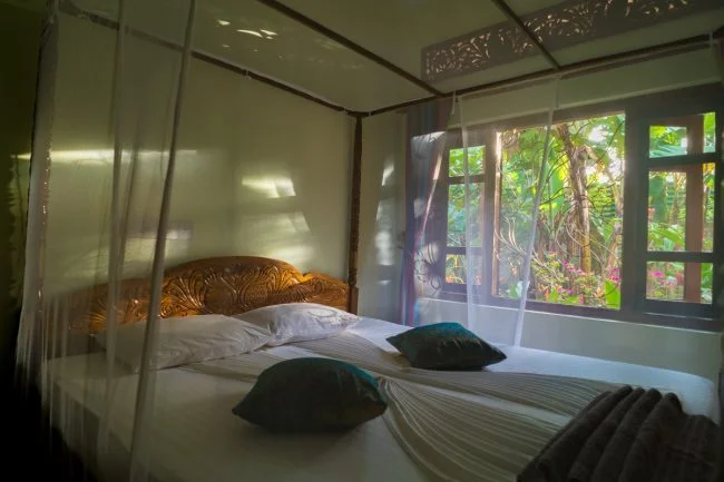 8 Day Ayurveda Detox, and Yoga Retreat in Dickwella, Southern Province15.webp