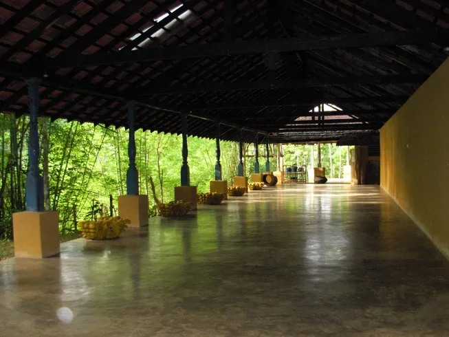 8 Day Yoga Holiday in Kandy, Central Province4.webp