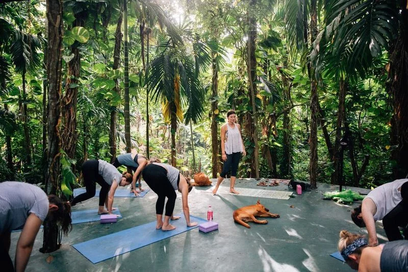 8 Day Yoga and Surf Camp in Mirissa, Southern Province2.webp