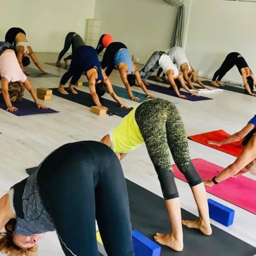 200 hours ashtanga yoga teacher training course balu ashtanga yoga51712651757.webp