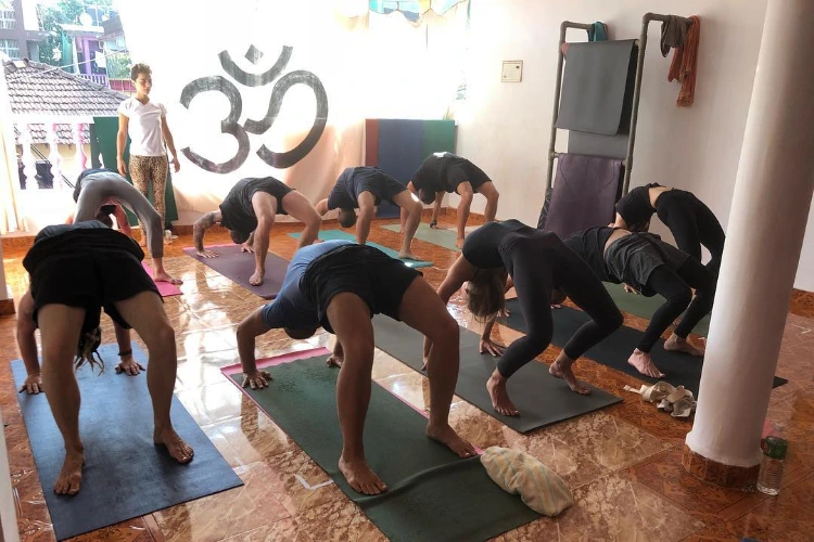 200 hours ashtanga yoga teacher training course balu ashtanga yoga71712651757.webp