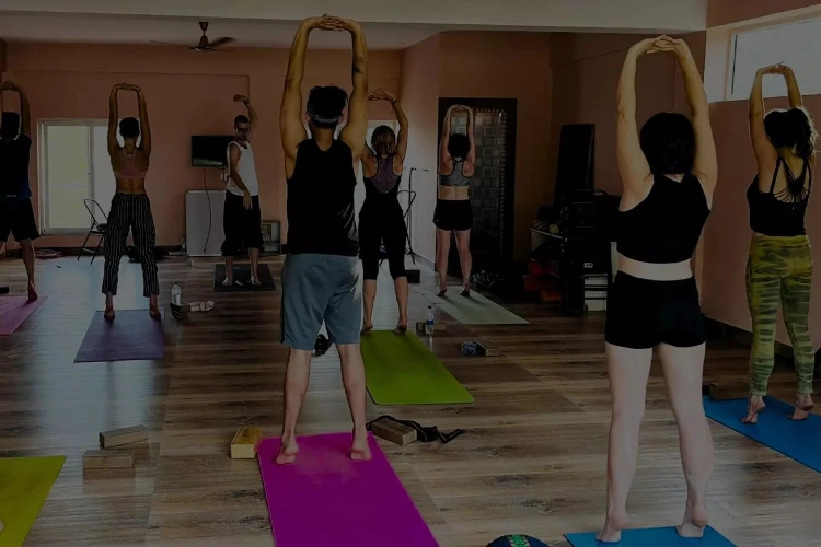 aym yoga goa11712911177.webp