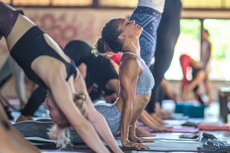 aym yoga goa21712911177.webp