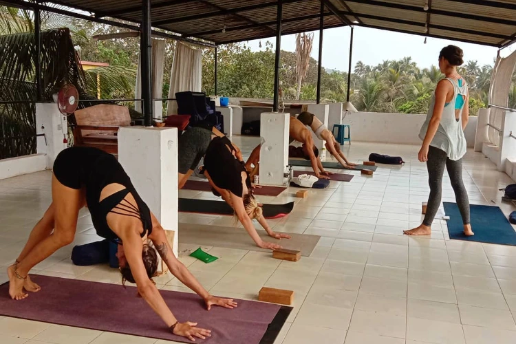 parimukti yoga goa61712913742.webp