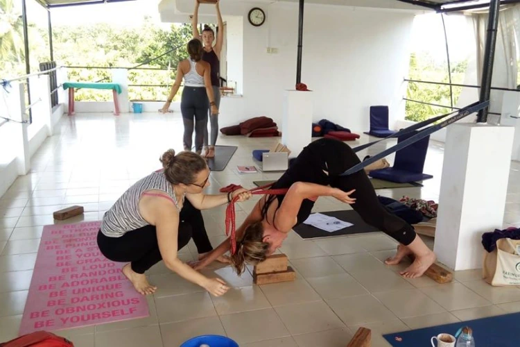 parimukti yoga goa91712913743.webp