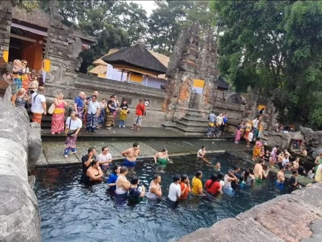 22 day 200-hour intensive hatha vinyasa chakra restorative yoga teacher training in ubud bali by bali kapha yoga indonesia yoga school of teacher training321716467445.webp