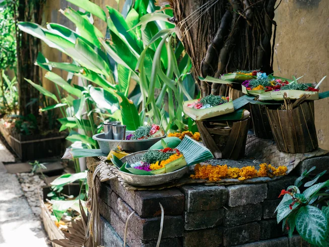 25 day 300-hour advanced yoga teacher training in canggu bali by anandam yoga school231716469728.webp