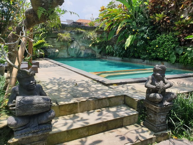 12 day 100-hour traditional hatha and ashtanga vinyasa yoga teacher training in ubud bali by aayaayoga111716534873.jpg
