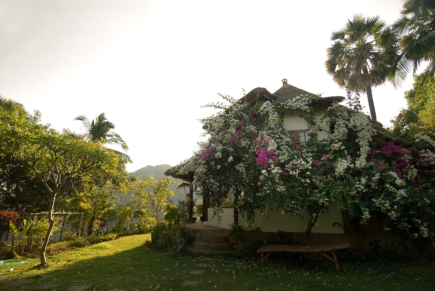 7 days yoga and meditation retreat in bali by abasan mountain retreat61716553167.jpg