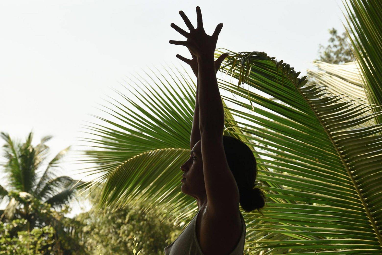 6 days our luxury srilanka hilltop surf  yoga retreat with style341717678737.jpg