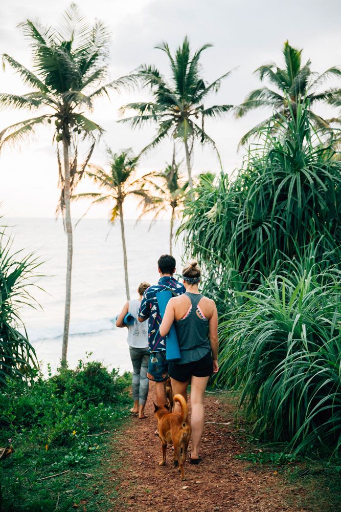 6 days surf and yoga retreat311717745596.jpg