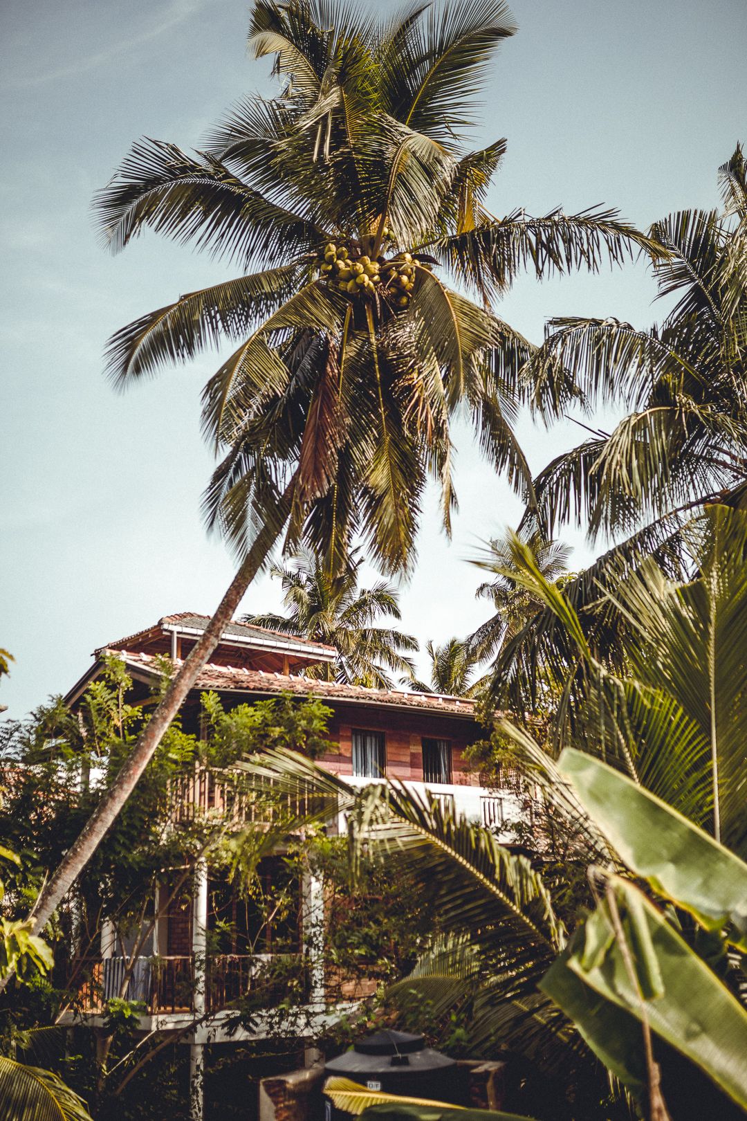 6 days surf and yoga retreat61717745592.jpg