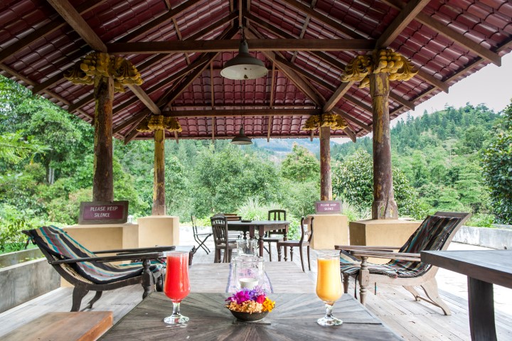 7 days panchakarma ayururvedha packages241717846923.jpg