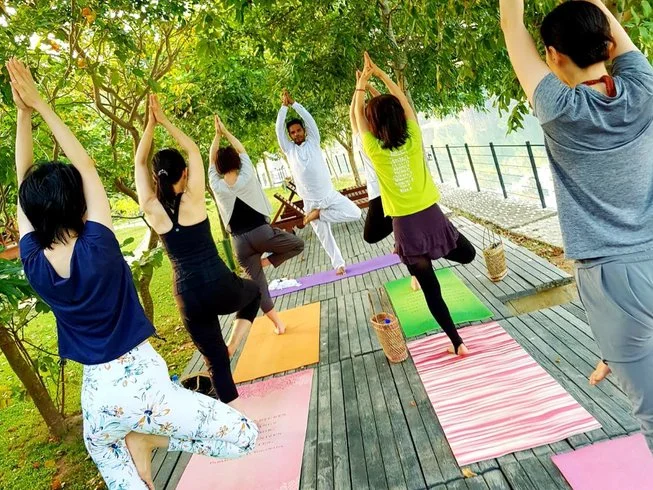 8 Day TS2 Yoga and Surf Camp in Weligama, Southern Province17.webp