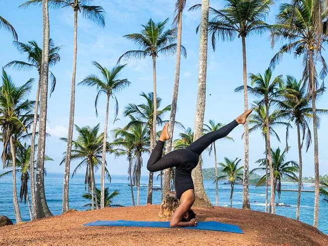 8 Day Yoga and Surf Camp in Mirissa, Southern Province15.webp