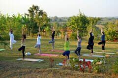 14 days ayurveda detoxification therapy mysore 71726046808.jpg