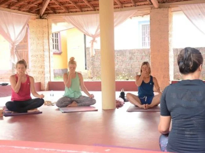 10 Day 100-Hour Yoga Course in Koh Samui Thailand (5).webp
