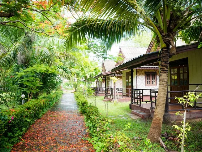 10 Day 95-Hour Children’s Yoga Teacher Training Course in Koh Lanta, Krabi (22).webp