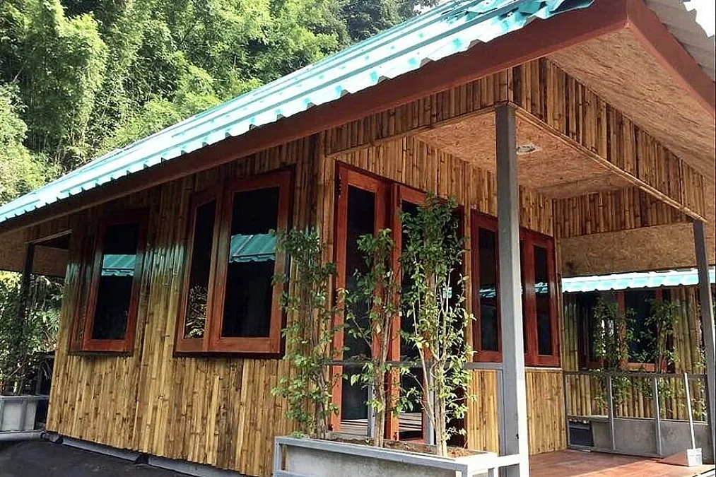 10 Day Jungle Yoga & Thai Massage Retreat in Khao Sok, Thailand (16).webp