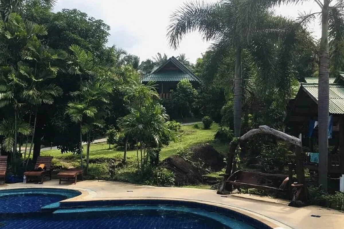 10 Day Jungle Yoga & Thai Massage Retreat in Khao Sok, Thailand (52).webp