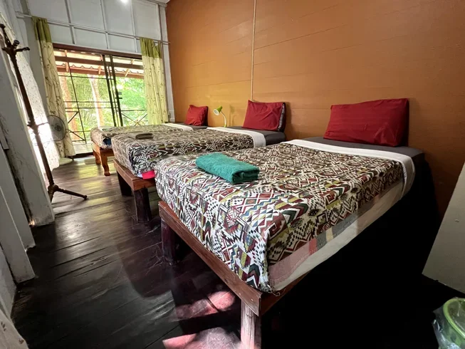 11 Day 100-Hour Hatha and Ashtanga Vinyasa Yoga Teacher Training in Chiangmai (22).webp