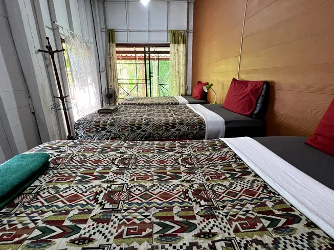 11 Day 100-Hour Hatha and Ashtanga Vinyasa Yoga Teacher Training in Chiangmai (23).webp