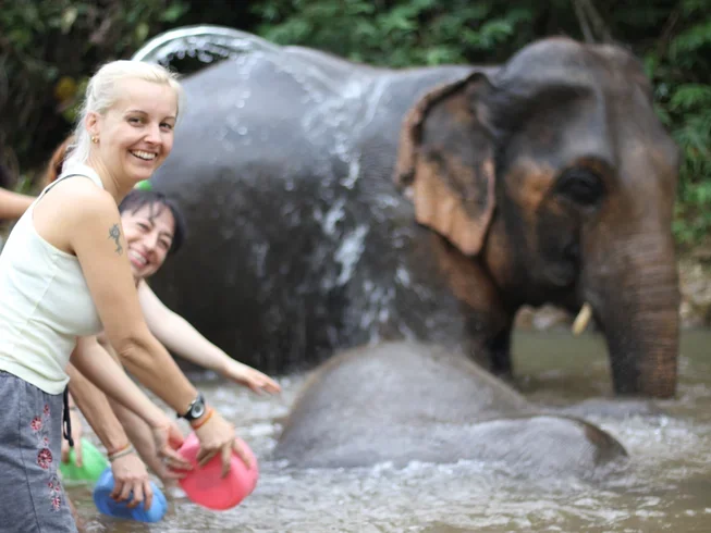 11 Day 100-Hour Hatha and Ashtanga Vinyasa Yoga Teacher Training in Chiangmai (36).webp
