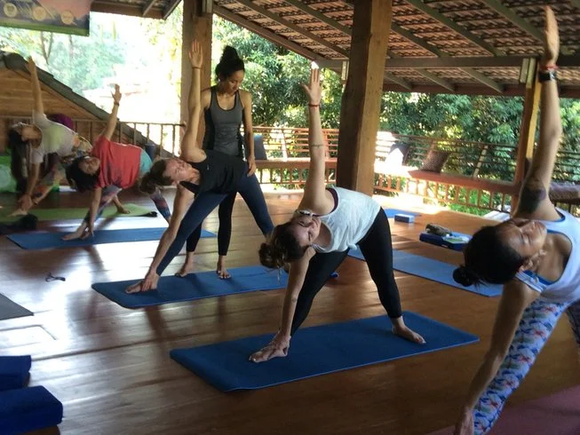 11 Day 100-Hour Hatha and Ashtanga Vinyasa Yoga Teacher Training in Chiangmai (7).webp