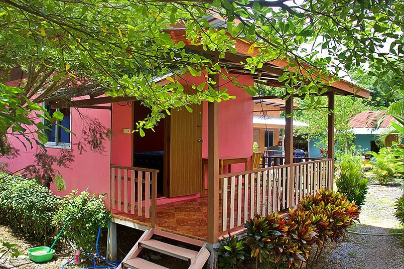 12 Day Wellness Package, Yoga, Detox, Meditation, Temples, CrossFit, Adventure, Thailand (41).webp