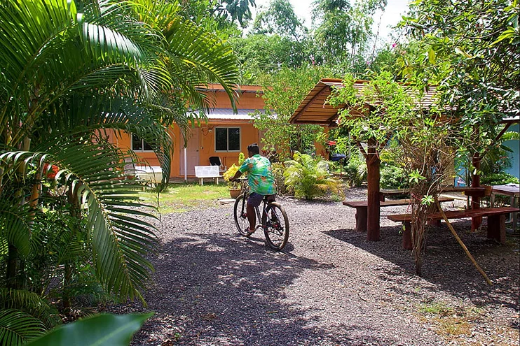 12 Day Wellness Package, Yoga, Detox, Meditation, Temples, CrossFit, Adventure, Thailand (45).webp