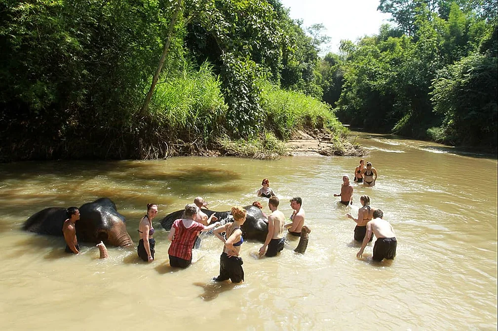 12 Day Yoga, Adventure & Thai Massage Course Retreat in Thailand (6).webp