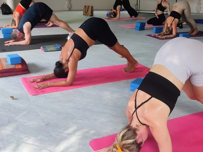 14 Day 160-Hour Hybrid Foundation of Yoga Course in Koh Phangan (13) (1).webp