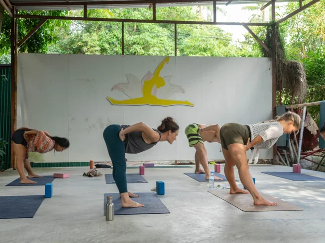 15 Day 200-Hour Intensive Hatha Yoga Teacher Training in Koh Samui (22).webp