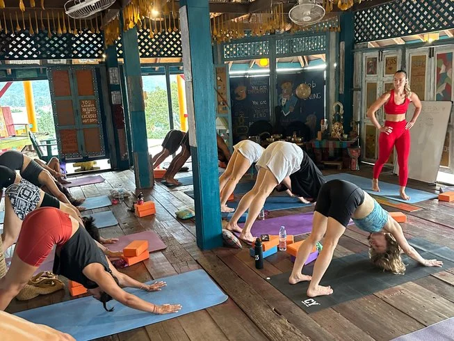 19 Day Small Group Yoga Teacher Training Intensive Program in Koh Samui (2).webp