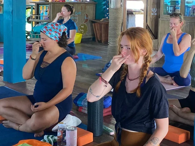 19 Day Small Group Yoga Teacher Training Intensive Program in Koh Samui (20).webp