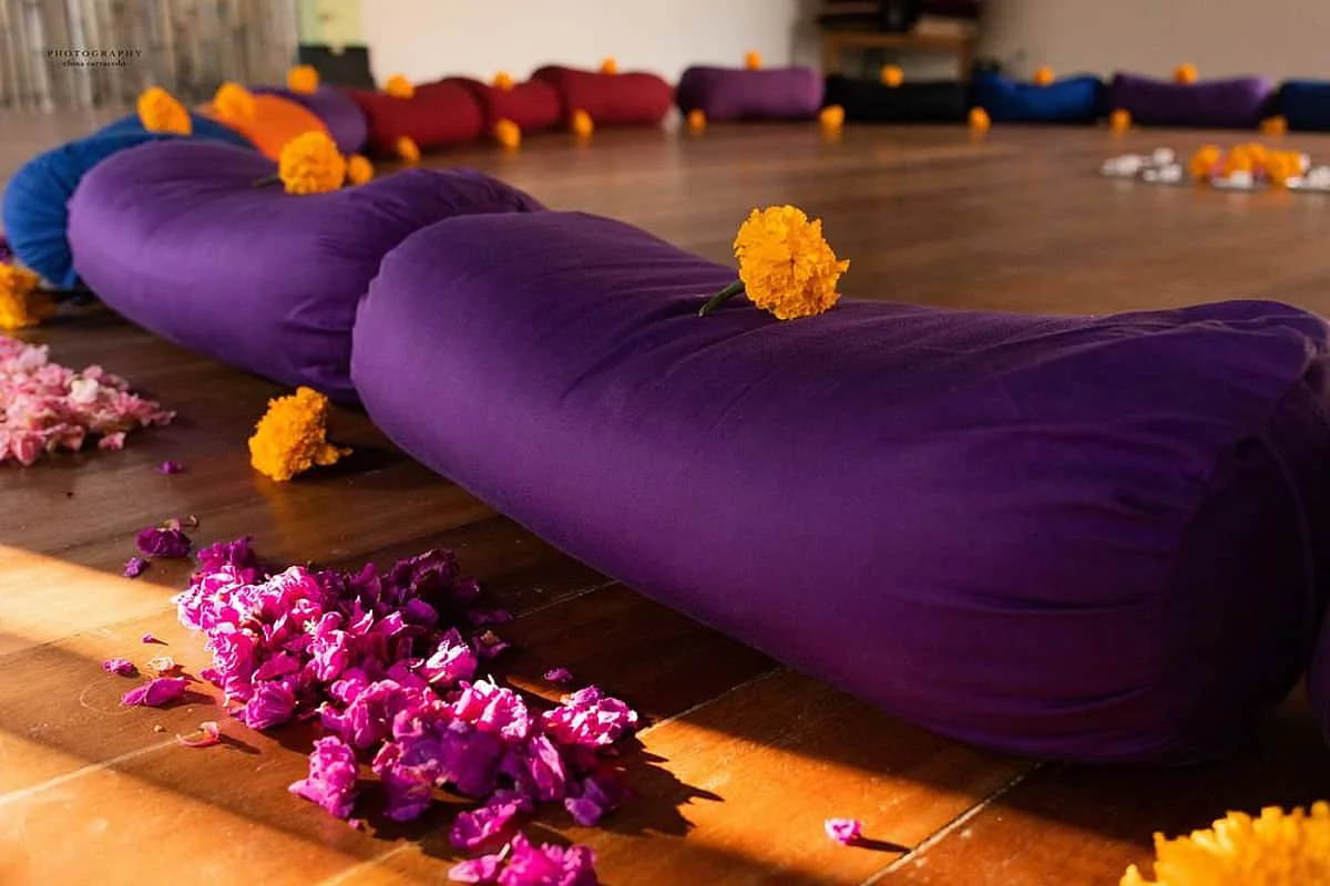 22 Day 200 Hour Multi-Style Yoga Teacher Training in Thailand (18).webp