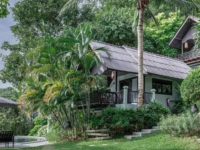 22 Day 200-Hour Yoga Teacher Training in Koh Samui (3).webp