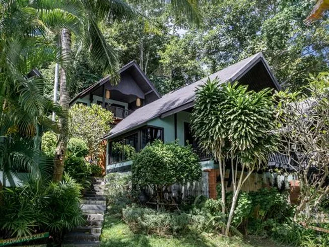 22 Day 200-Hour Yoga Teacher Training in Koh Samui (4).webp