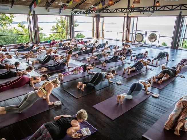 22 Day 200-Hour Yoga Teacher Training in Koh Samui (9).webp