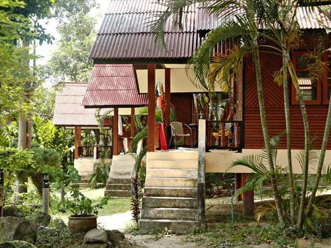 22 Day Yoga, Art, Dancing & Celebration in Koh Pha Ngan, Thailand (7) (1).webp