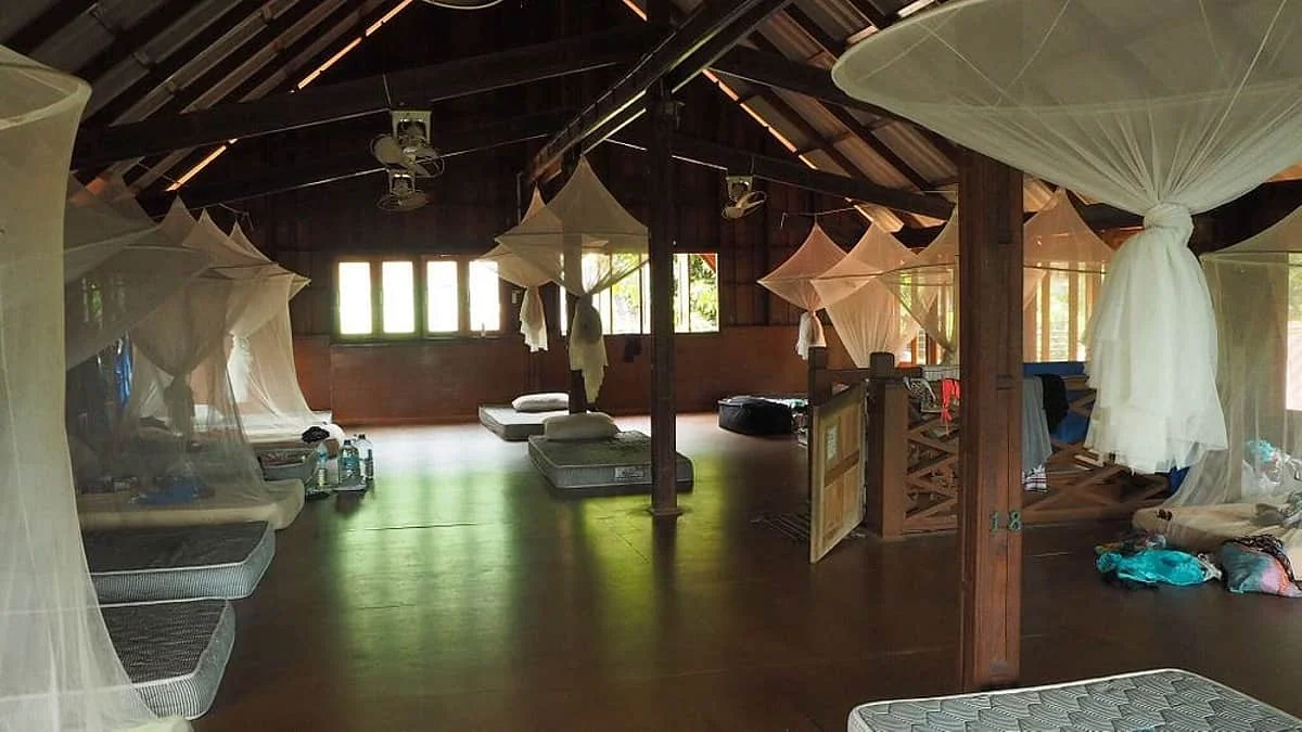 23 Day 200 Hour Ashtanga Vinyasa Yoga Teacher Training, Thailand (16).webp