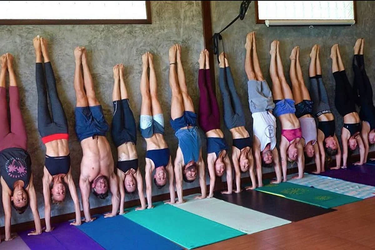 23 Day 200 Hour Ashtanga Vinyasa Yoga Teacher Training, Thailand (29).webp