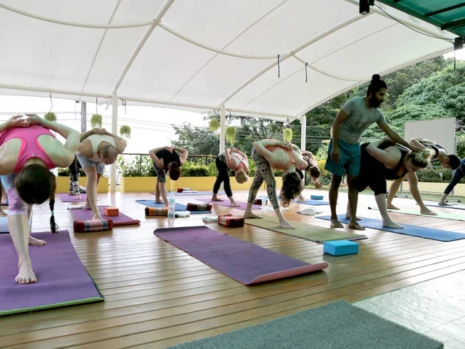 24 Day 200-Hour Hatha and Ashtanga Vinyasa Flow Yoga Teacher Training in Koh Samui (30).webp
