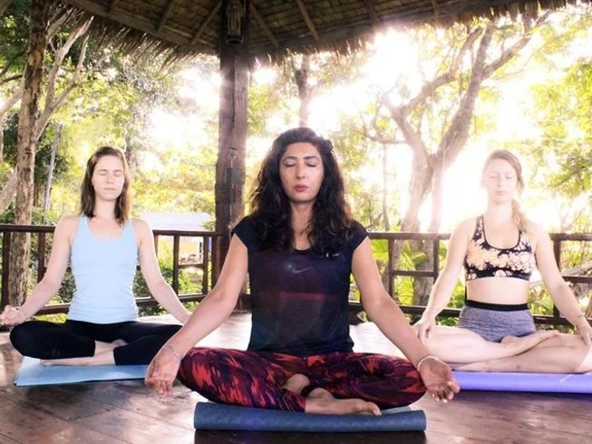 24 Day 200-Hour Intensive Yoga Teacher Training in Koh Phangan (11).webp