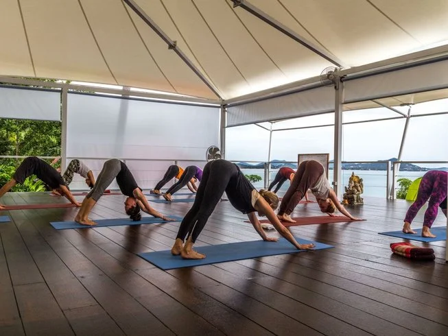 24 Day 200-Hour Intensive Yoga Teacher Training in Koh Phangan (14).webp