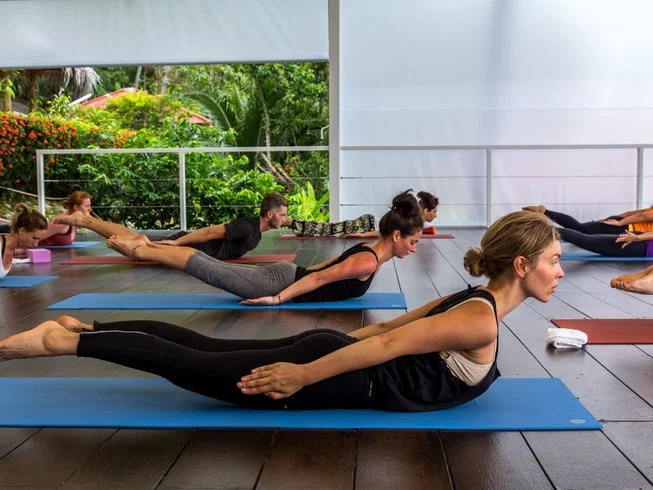 24 Day 200-Hour Intensive Yoga Teacher Training in Koh Phangan (19).webp