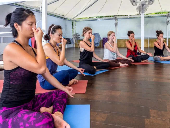 24 Day 200-Hour Intensive Yoga Teacher Training in Koh Phangan (9).webp